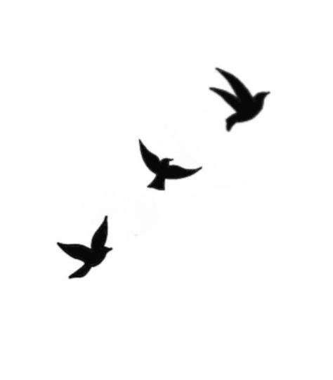 Small Tattoos For Men Birds, Dove Birds Tattoo, 3 Black Birds Tattoo, Birds Flying Silhouette Tattoo, Tattoo Doves Flying, 3 Doves Flying Tattoo, Mini Dove Tattoo, Bird Simple Tattoo, Bird Tattoo Silhouette