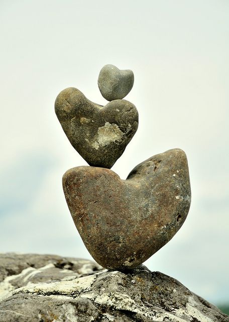 Change is the law of life. And those who look only to the past or present are certain to miss the future.  -John F. Kennedy Hearts In Nature, Hearts Everywhere, Heart Shaped Rocks, Jar Of Hearts, Heart Rocks, Heart In Nature, 3 Hearts, Be Still My Heart, I Love Heart