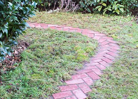 Brick Pathway Diy Easy, Brick Path On Slope, Narrow Garden Path Ideas, Narrow Brick Path, Brick Walkways Paths, Herringbone Brick Path, Herringbone Path, Brick Pathway Garden, Brick Garden Path