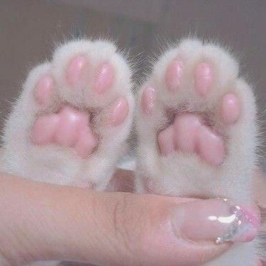 Toe Beans, Images Kawaii, Baby Pink Aesthetic, Cat Icon, Pastel Pink Aesthetic, Kawaii Aesthetic, Cat Aesthetic, Pink Cat, Cat Paws