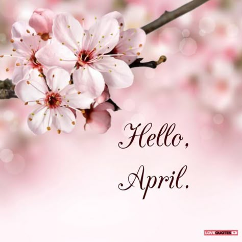 Hello, April. April Images, Hello New Month, Neuer Monat, April Quotes, Good Morning Sunday Images, Months And Seasons, Month Quotes, Hello April, Seasons Months