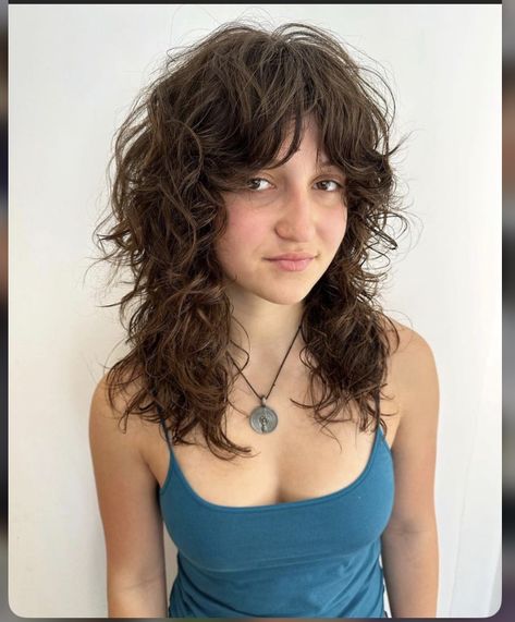 Blue Shag Haircut, Longer Shag Haircut, Fun Curly Haircut, Shag Hairstyles Wavy Hair, Medium Length Curly Shag, Mid Length Curly Hair Styles, Wavy Hair Shag Haircut, Shag Haircut Wavy, Shaggy Haircuts Curly Hair