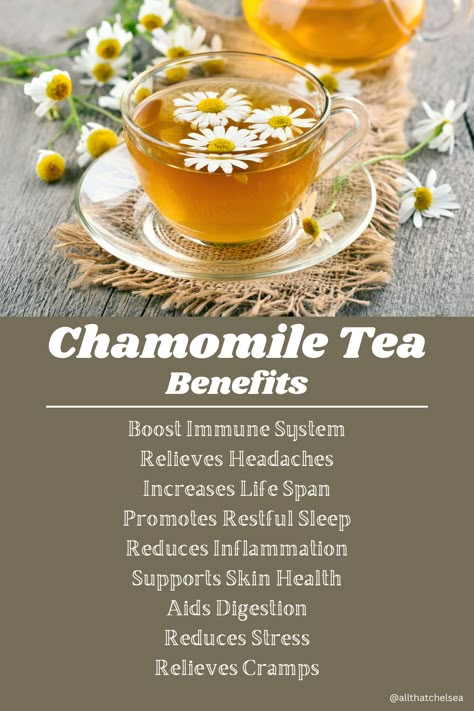 Discover the incredible chamomile tea benefits that can transform your daily routine. This soothing herbal tea is renowned for its ability to reduce stress, aid digestion, and promote restful sleep. Did you know that chamomile also has anti-inflammatory properties that can benefit your skin and overall wellness?  Curious about more chamomile health benefits? Check out my blog for in-depth insights on how chamomile can support your health naturally. Benefits Of Chamomile Tea, Benefits Of Chamomile, Chamomile Tea Benefits, Chamomile Plant, Tea Remedies, Lavender Benefits, Tea Health Benefits, Herbs For Health, Tea Benefits