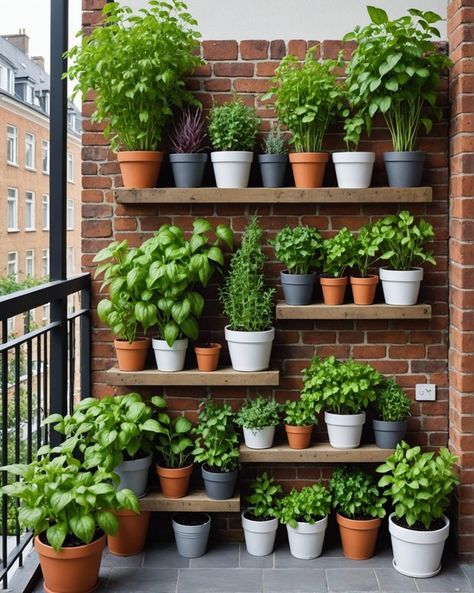 Balcon Garden Ideas, Living Plant Walls Outdoor, Small Outdoor Planter Ideas, Balcony Planters Ideas, Flower Pot Outdoor Ideas, Balcony Garden Vegetable, Plants In Pots Outdoor Backyard Ideas, Plants On Terrace, Indoor Garden Ideas Houses