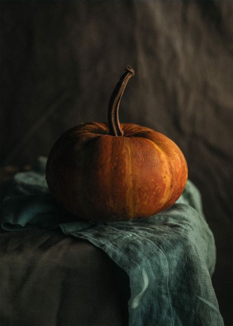 Pumpkin Photography, October Country, Still Life Pictures, Object Photography, Still Life Photos, Still Life Art, Still Lifes, Autumn Cozy, Autumn Colors