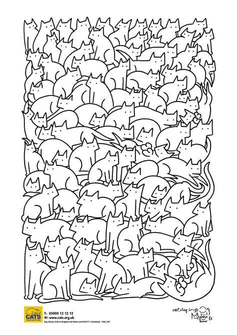 Your Cat | Colour me kitty | Cat Craft Simple Colouring Pages For Kids, Printable Coloring Pages For Adults Simple, Simple Adult Coloring Pages, Cat Pattern Wallpaper, Mindfulness Colouring, Cat Coloring, Pumpkin Coloring Pages, Pattern Coloring Pages, Doodle Coloring