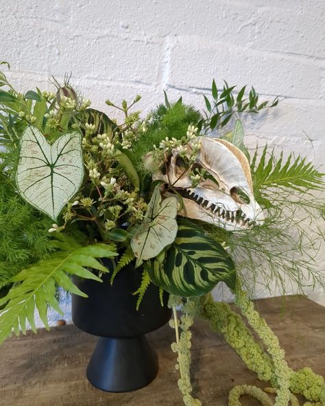 A Jurassic wedding for D + A today! Dino Wedding Theme, Dinosaur Wedding Decor, Jurassic Park Wedding Theme, Dinosaur Themed Wedding, Dinosaur Wedding Theme, Jurassic Wedding, Jurassic Park Wedding, Dino Wedding, Dinosaur Wedding