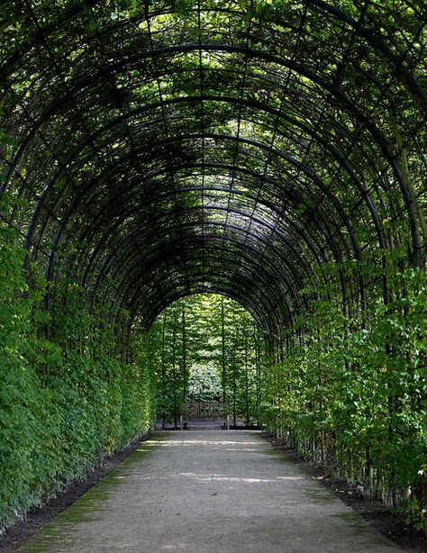 archway, countryside, foliage, garden, summer Persona Background, Foliage Garden, Walkway Design, Landscaping Retaining Walls, Backyard Garden Landscape, Garden Arbor, Future Garden, Gazebo Pergola, Walled Garden