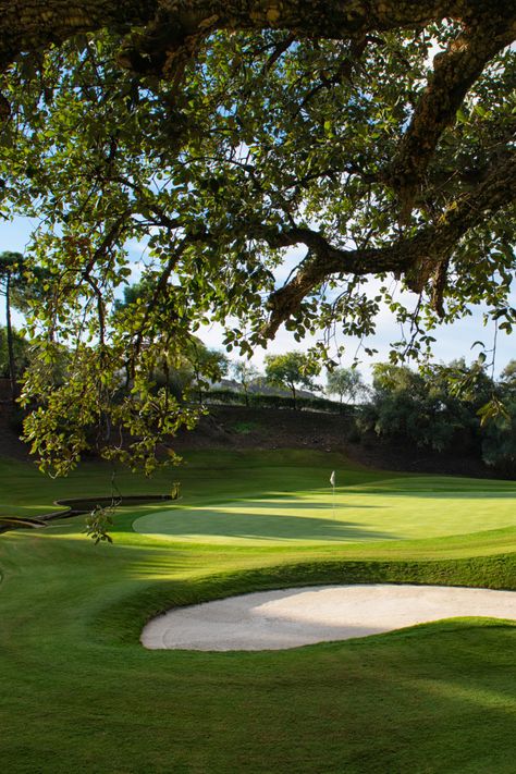 Golf course with sand bunker shaded by tree. Private Golf Course, Golf Course Aesthetic, Golf Course House, Golf Swag, Golf Aesthetic, Marbella Club, Golf Images, Golf Hotel, Dream Villa