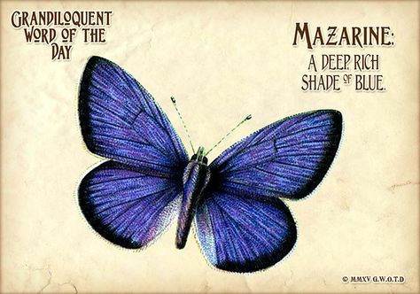 (110) Grandiloquent Word of the Day Rare Butterfly, Words And Definitions, Mazarine Blue, Garden Of Words, Interesting Words, Language Works, Word Nerd, Unusual Words, Big Words