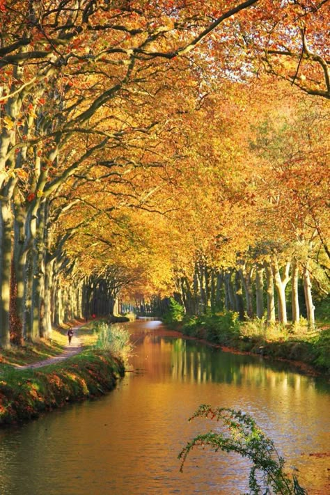 canal du midi Canal Du Midi, Simple Beauty, Aesthetic Bedroom, Claude Monet, In The Forest, Toulouse, Travel Dreams, The Forest, Landscape Paintings