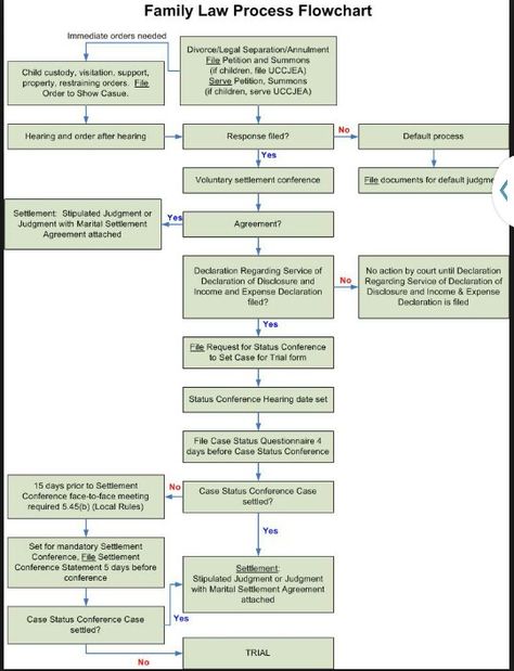 Flow Chart Law School Notes, Parenting Plan Custody, Paralegal Student, Ged Study, Bar Exam Prep, Consumer Law, Government Lessons, Child Custody Battle, Law School Prep