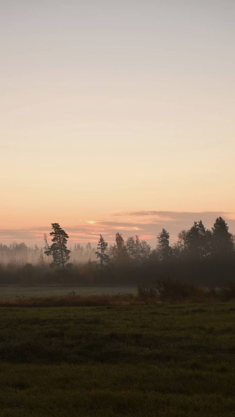 Fog At Dawn, Dawn Sky, Bright Night, Rain Lights, Bridge City, Foggy Morning, Sky Aesthetic, Iphone Wallpaper, The Outsiders