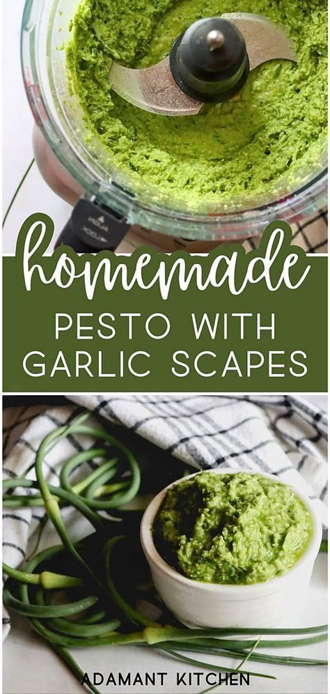 Homemade pesto with garlic scapes showcased in spring seasonal recipes is perfect for those who love crafting their condiments. This homemade pesto is a brilliant addition to your culinary repertoire, bringing freshness and flavor to any meal. Find more summer seasonal recipes, whole food recipes, and preserving garlic scapes at adamantkitchen.com Garlic Scapes And Basil Pesto, Garlic Scapes Recipes, Scape Pesto Recipe, Scape Recipes, Preserving Garlic, Scape Pesto, Garlic Scape Pesto, Homemade Pesto Recipe, Pesto Recipes