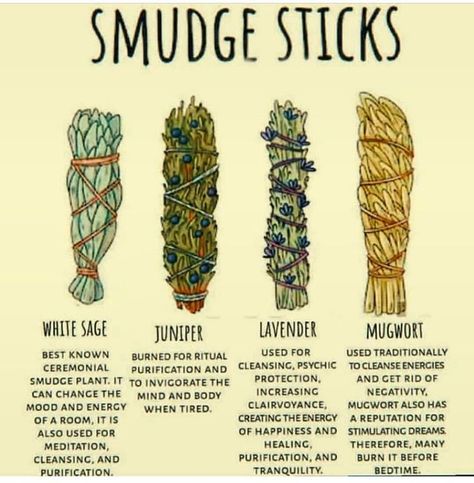 Currently using lavender sage but “mugwort” is my favorite. You feel a shift in energy right away with mugwort sage. ~Tiya 🧘🏽‍♀️ 🙌🏾💫… Smudge Sticks Diy, Artemisia Vulgaris, Magia Das Ervas, Sage Smudging, Magic Herbs, Lavender Sage, Herbal Magic, Spiritual Tools, Smudge Sticks