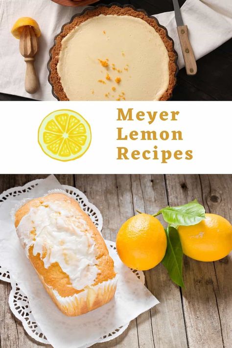 Do you love Meyer lemon recipes? If so, welcome to our list of yummy sweet and savory recipes with the mild and fragrant Meyer lemon! Meyers Lemon Recipes, Meyer Lemon Recipes Desserts, Mayer Lemon Recipes, Myers Lemon Recipes, Meyer Lemon Desserts, Myer Lemon Recipes, Lemon Scones Recipe, Meyer Lemon Recipes, Lemon Roasted Chicken