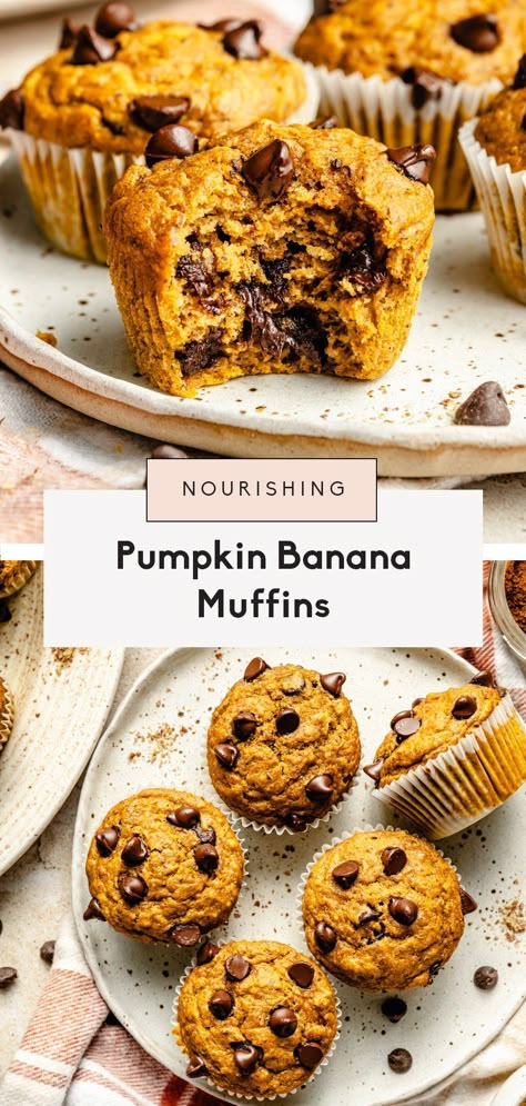 Banana Pumpkin Muffins with Chocolate Chips | Ambitious Kitchen Ambitious Kitchen Pumpkin Muffins, Gluten Free Pumpkin Banana Muffins, Pumpkin Banana Protein Muffins, Pumpkin Flaxseed Muffins, Pumpkin Banana Oatmeal Muffins, Banana Pumpkin Muffins Healthy, Leftover Banana Recipes Healthy, Banana Pumpkin Chocolate Chip Muffins, Pumpkin Banana Recipes