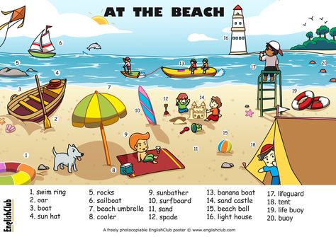 Beach Vocabulary poster. Download FULL-SIZE and FREE! Beach Vocabulary, Kid Worksheets, Picture Story Writing, Kindergarten Goals, Summer Vocabulary, Picture Comprehension, Body Parts Preschool, Free Posters, Picture Composition