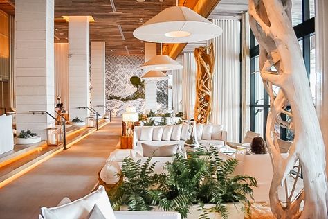 20 Of The World's Best Luxury Eco Hotels | We Are Travel Girls 1 Hotel South Beach, Meyer Davis, One Hotel, Hotel Hospitality, South Beach Hotels, Eco Hotel, 1 Hotel, Lobby Lounge, Eco Luxury