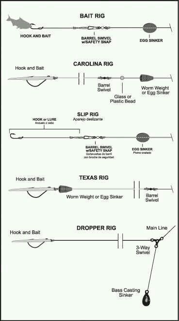 Fishing rigs Pesca In Mare, Kayak Fishing Gear, Salt Water Fishing, Bass Fishing Tips, Fishing Rigs, Crappie Fishing, Surf Fishing, Fishing Techniques, Fishing Knots