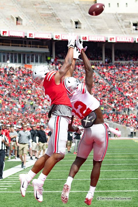 Nfl Catches, Garrett Wilson, Buckeye Nut, Spring Games, Nfl Photos, Ohio State Football, Sports Figures, Wide Receiver, Ohio State