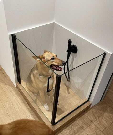 Dröm Hus Planer, Dog Spaces, نباتات منزلية, Dog Room, Dog Shower, Animal Room, Dog Rooms, Dog Bath, Dog Furniture