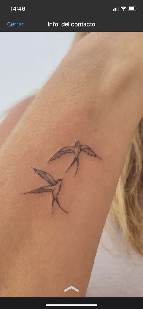 Boho Bird Tattoo, Tattoo Means Freedom, Fine Line Birds Tattoo, Birds On Shoulder Tattoo, 2 Bird Tattoo, Dainty Dove Tattoo, Bird Holding Flower Tattoo, Hope Is The Thing With Feathers Tattoo, Fine Line Sparrow Tattoo