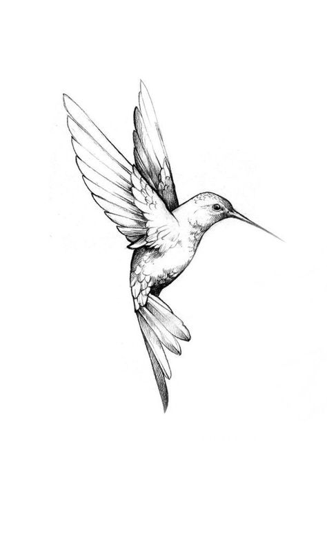 Bird Looking Down Drawing, 2 Hummingbird Tattoo, Humming Birds Tattoo Design, Shaded Tattoos Women, 2 Hummingbirds Tattoo, Two Hummingbird Tattoo, Minimalist Hummingbird Tattoo, Scattered Tattoos Sleeve Women, Fineline Tattoo Design