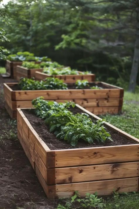 Bed Diy Ideas, Raised Bed Fencing, Raised Garden Bed Diy, Portable Garden Beds, Garden Bed Diy, Unique Raised Garden Beds, Landscape Design Diy, Cheap Garden Beds, Cheap Raised Garden Beds