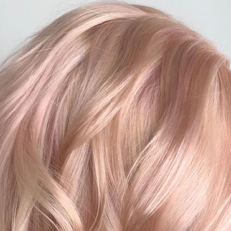 Champagne rose pink blonde hair color by Aveda Artist Haley Pirkle. Rose Champagne Hair, Pink Toner For Blonde Hair, Champagne Blonde Hair Rose Gold, Light Rose Gold Hair Blonde, Pink Blonde Hair Rose Gold, Pink Champagne Hair Color, Light Pink Blonde Hair, Pinky Blonde, Blonde Wolf Cut