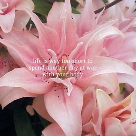 Pink Recovery Aesthetic, Nature Words, Poetic Words, Unspoken Words, Recovery Quotes, You Deserve Better, It Gets Better, Positive Self Affirmations, Explore Nature