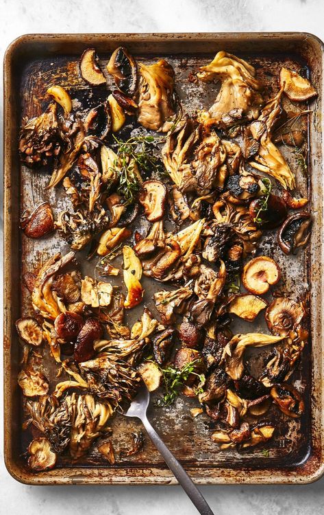 Wild Mushroom Recipes, Vitamin D Foods, Thyme Recipes, Mushroom Dish, Wild Night, How To Cook Mushrooms, Easy One Pot Meals, Wild Mushroom, Healthy Morning Routine