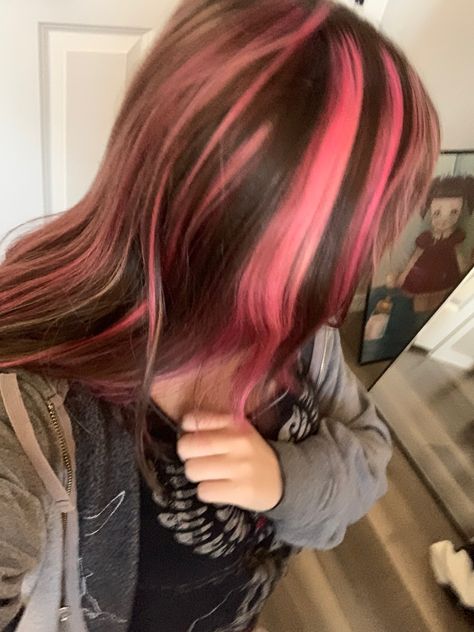 Striped Pink Hair, Brown And Pink Skunk Stripe Hair, Pink N Brown Hair, Brown Hair With Pink Stripes, Pink And Black Skunk Stripe Hair, Brown And Pink Highlights Hair, Pink Skunk Highlights In Brown Hair, Dark Pink Hair With Light Pink Highlights, Red And Brown Skunk Stripe Hair