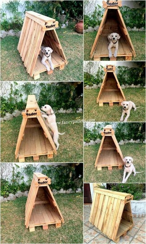 Dog House Diy Outdoor, Diy Projects Wood, Pallet Dog House, Build A Dog House, Dog House Plans, Outdoor Dog House, Dog House Diy, House Landscaping, Front House