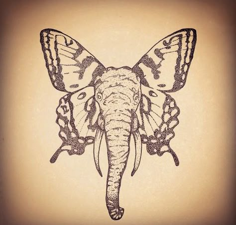 Elephant And Butterfly Drawing, Elephant Butterfly Tattoo Ears, Elephant Stomach Tattoo, Butterfly And Elephant Tattoo, Cool Elephant Tattoo, Elephant Tattoos With Butterflies, Butterfly Elephant Tattoo, Elephant With Butterfly Tattoo, Elephant Butterfly Tattoo