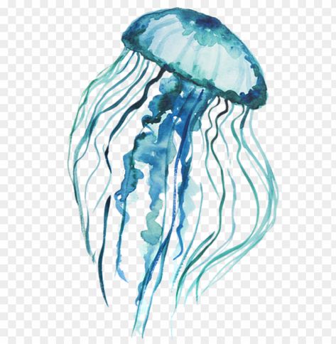 Background Wallpapers Iphone, Jellyfish Png, Background Css, Graphic Background Design, Grass Watercolor, Pc Background, Watercolor Jellyfish, Blue Jellyfish, Graphic Background