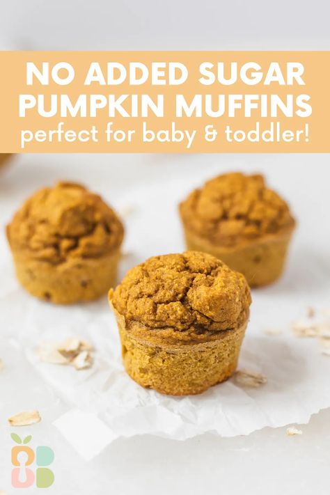 Baby Led Weaning Pumpkin Muffins (No Added Sugar) - Baby Led Bliss Baby Pumpkin Muffins, Pumpkin Baby Food, Blw Meals, Pumpkin Oatmeal Muffins, Mini Pumpkin Muffins, Pumpkin Banana Muffins, Toddler Muffins, Baby Muffins, Easy Baby Food