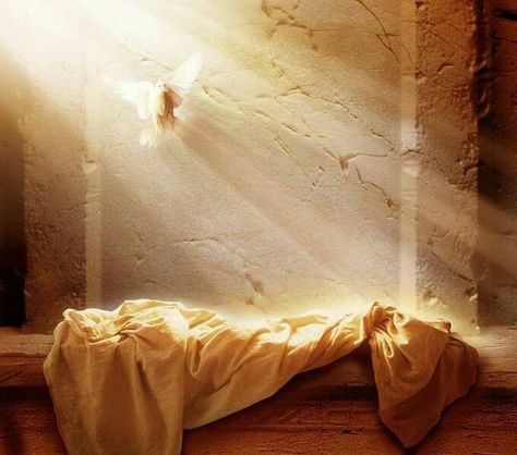 He Is Risen, a faith message about the One who paid he ultimate price out of love for you. Blessed Easter, Resurrection Day, Jesus Is Risen, Resurrection Sunday, Bible Pictures, Jesus Resurrection, Jesus Christ Images, Jesus Images, Holy Week