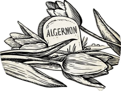 Flowers for Algernon Flowers For Algernon Tattoos, Flowers For Algernon Aesthetic, Flowers For Algernon Fanart, Flowers For Algernon Book, Flores Para Algernon, Flowers For Algernon, Book Tattoo, Ex Libris, Cool Tattoos