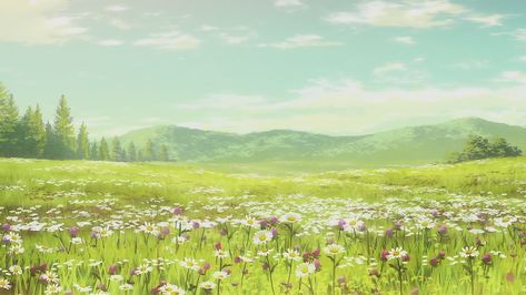 Gacha Backgrounds Outside, Background Anime, Anime Wallpaper 1920x1080, Anime Flower, Field Wallpaper, Scenery Background, Flower Landscape, Animation Background, Nature Backgrounds