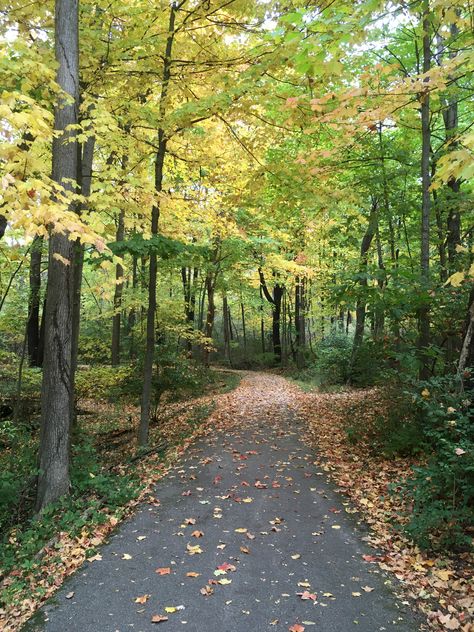 Walking Trails Aesthetic, Walks In The Woods, Walking Trail Aesthetic, Walk In Park, Walking In Forest, October Colors, Walking Pictures, Walks In Nature, Diy Ponds Backyard