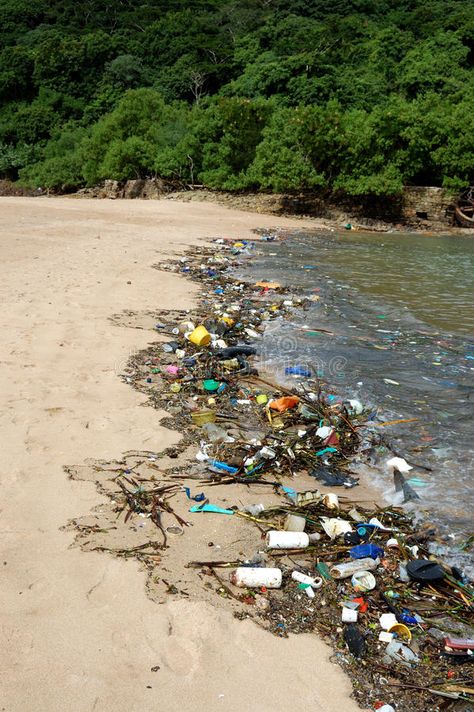 Plastic pollution in the sea. Photo of plastic pollution on the beach in the sea , #ad, #Photo, #plastic, #sea, #Plastic, #pollution #ad Water Pollution Activities, Pollution Activities For Kids, Water Pollution Poster, English Portfolio, Beach Pollution, Pollution Pictures, Pollution Activities, Plastic And Environment, تلوث المياه