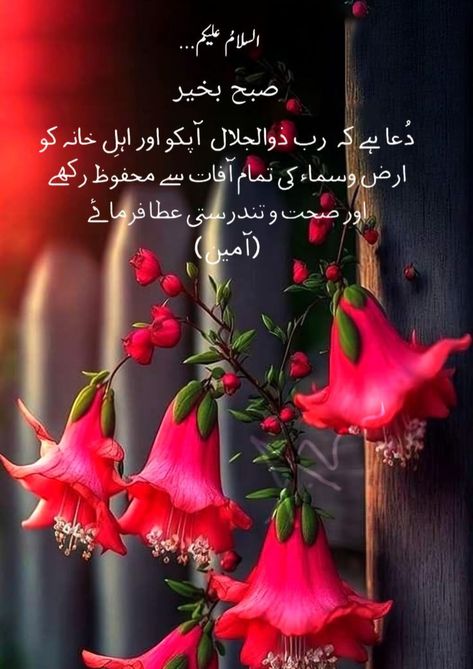 Subah Bakhair In Urdu Dua New, Dua Morning, Good Morning Dua, Subha Bakhair Dua In Urdu, Islamic Good Morning, Dua Images, Urdu Good Morning, Sweet Good Morning Images, Subha Bakhair