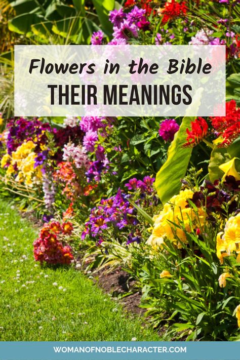 Biblical Garden Design, Faith Garden Ideas, Biblical Decorating Ideas, Flowers To Plant In Garden, Bible Garden Ideas, To Plant A Garden Is To Believe, Church Garden Ideas, Christian Garden Ideas, Prayer Garden Ideas Church