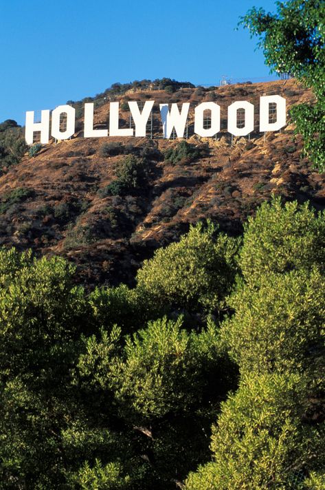 USA, California, Los Angeles, Hollywood Sign Hollywood Sign, Hollywood, Angeles, California, Google Search, Instagram, Los Angeles