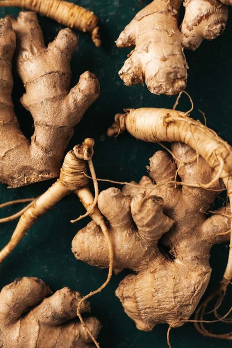 Ginseng Plant, Health Social Media, How To Relieve Nausea, Witch Wallpaper, Health Benefits Of Ginger, Ginger Plant, Ginger Benefits, Improve Energy Levels, Candied Ginger