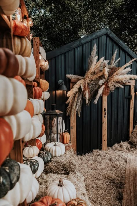 Last year we built our "Great Wall of Fall" mini session with a faux barn, fake pumpkins, and a lot of families! Everything that we bought for this set, including the couch, is linked with our commissionable link. 

We were able to see over 60 families within a couple of weekends. We have such a passion of teaching other photographers how to build a successful business with seasonal mini's. We teach everything on our Patreon account too! Comment below for a direct link. Fall Photoshoot Setup Ideas, Fall Photography Props, Fall Mini Shoot, Fall Photo Props, Fall Minis, Fall Backdrops, Mini Photo Sessions, Fall Mums, Fake Pumpkins