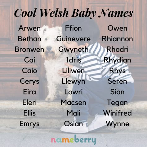 There's more to Welsh names than Dylan and Megan. These are some of the coolest baby names from Wales — click through for more! #babynames #welshnames #wales #internationalnames Old Fashioned Names, Welsh Names, Millipedes, Welsh Baby Names, Rare Names, St David, Welsh Language, Fantasy Character Names, Cool Baby Names