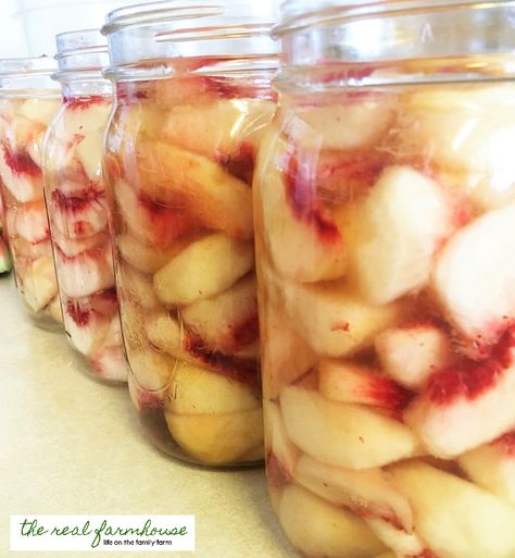 Peach Stuff, Can Peaches Recipes, How To Can Peaches, Fresh Produce Recipes, Creative Canning, Freezing Peaches, Can Peaches, Pickles Recipes, Summer Canning