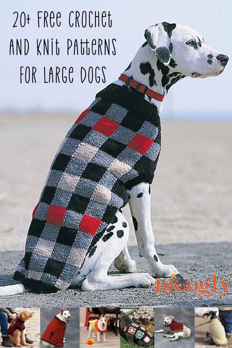 Who's got a good BIG boy (or girl)? I've shared dog-themed roundups before, but one comment I often get is the need for more patterns for bigger dogs! So today I've put together a list of free crochet and knit patterns for large dogs. Each of these patterns includes a largest size that is at least 26" around the chest! But there are usually smaller sizes too, so if your dog is smaller, be sure to click your favorites too! via @moogly Big Dog Sweaters, Coat Knitting Pattern, Crochet For Dogs, Crochet Dog Sweater Free Pattern, Large Dog Coats, Knitted Dog Sweater Pattern, Dog Sweater Crochet, Crochet For Pets, Sweater Free Pattern